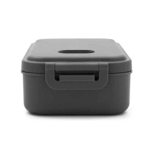 Lunch Box Bite