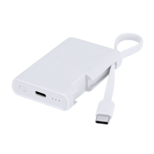 Power Bank Brandin