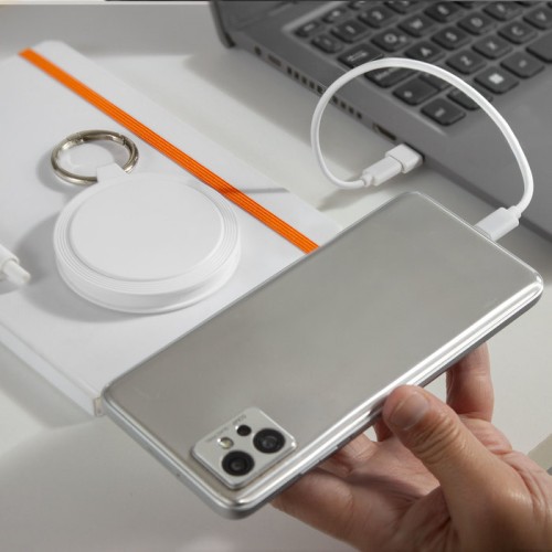 Cable de carga 